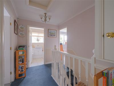 Picture 15